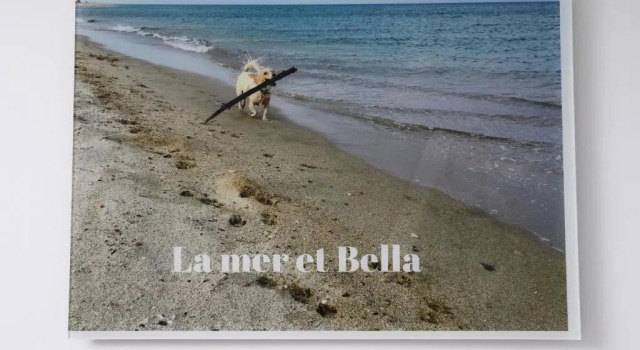 Апартаменты La mer et Bella