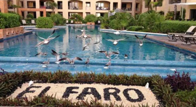 Апартаменты El Faro 105 Reef