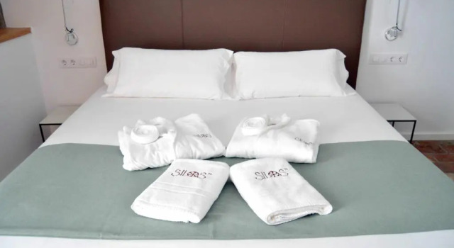 Полулюкс Deluxe Silos19 Suites