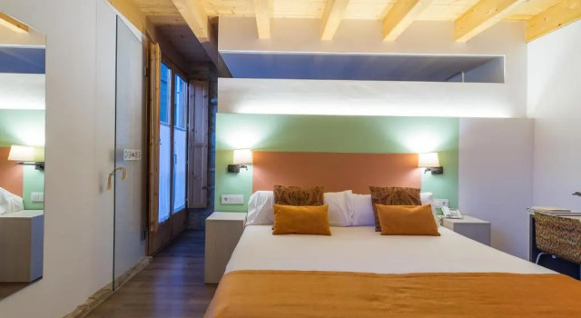Двухместный номер Hotel La Freixera