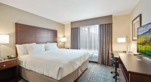 Standard Zimmer Cobblestone Hotel & Suites - Austin