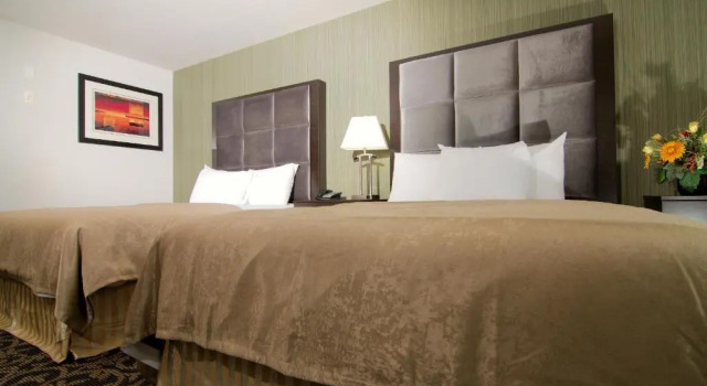 Четырёхместный люкс Paradise Inn and Suites Redwater