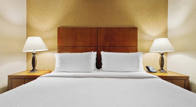 Полулюкс Sandman Hotel & Suites London Downtown