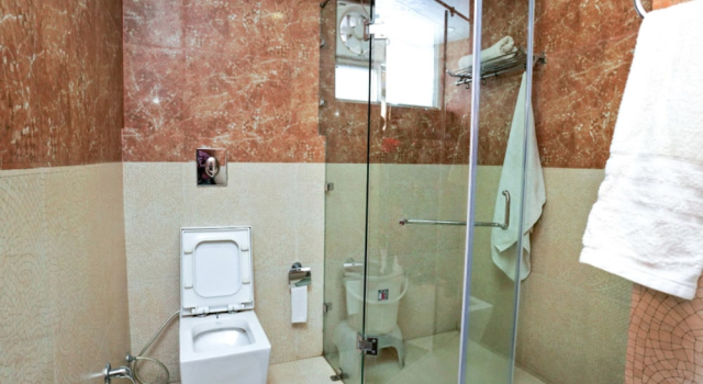 Номер Superior Mayur Hotel Bar And Restaurant