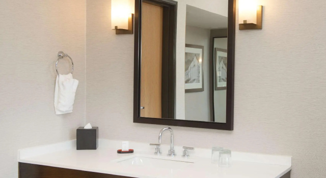 Двухместный люкс Embassy Suites by Hilton Denver Tech Center North