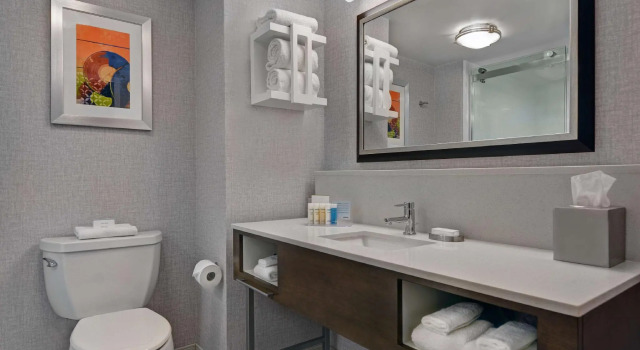 Четырёхместный номер Standard Hampton Inn Gallatin