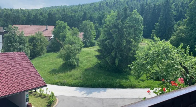 Номер Classic Žigon Bed & Breakfast