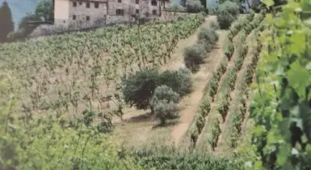 Complesso colonico Pogginano, Book Hotel Hotels in Pelago with a Pool, Swimming Pool