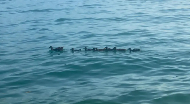 10 Minuti Dal Lago di Garda E Da Gardaland