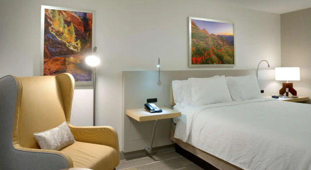 Двухместный номер Standard с видом на горы Hilton Garden Inn Lehi