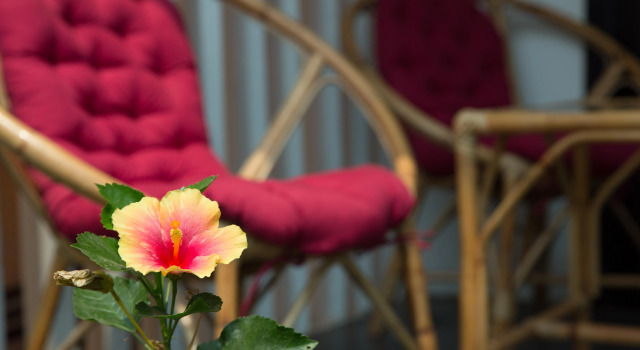 Люкс Dream Butterfly Garden Boutique Villa