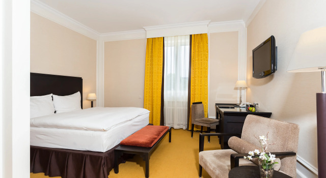 Hotel Euler