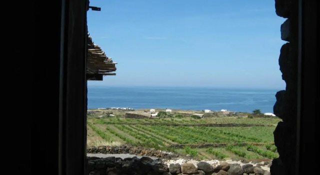 Номер Standard Agriturismo Zibibbodoro