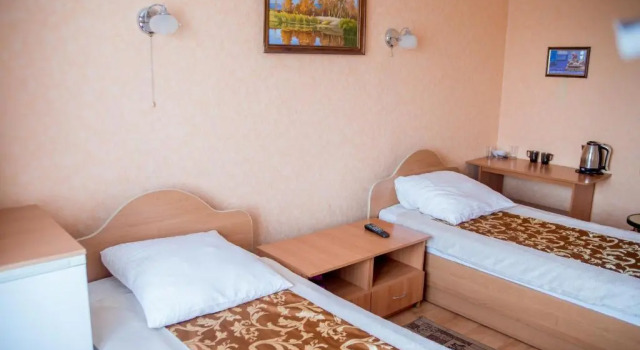 Standard double chambre Dniprovski Zori