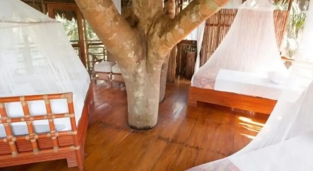 Коттедж Grand Treehouse Lodge