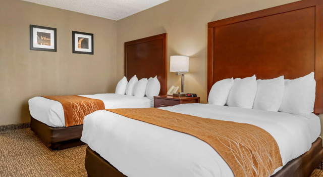 Четырёхместный номер Standard Comfort Inn MSP Airport - Mall of America