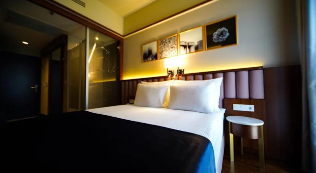 Standard chambre Four Points Flex by Sheraton Bursa Nilüfer