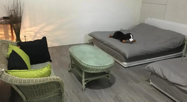 Chen The House, Buchen Sie Hotel Qingshui Taichung