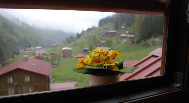 Номер Luxury Ayder Umit Otel