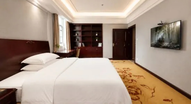 Люкс Deluxe Vienna Hotel Dongguan Songshan Lake