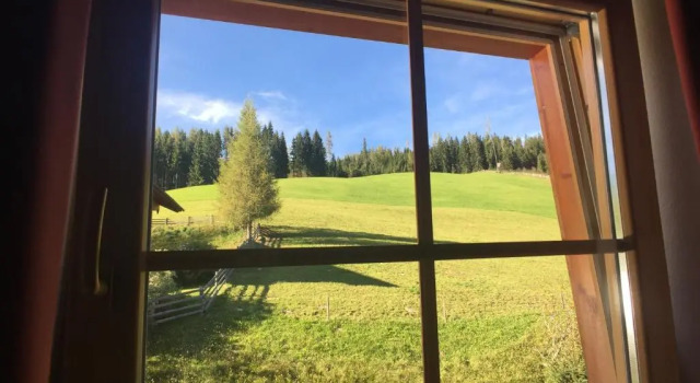 Люкс Bio Alpenhof Rostatt