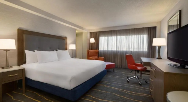 Номер Standard с видом на горы DoubleTree by Hilton Hotel Albuquerque