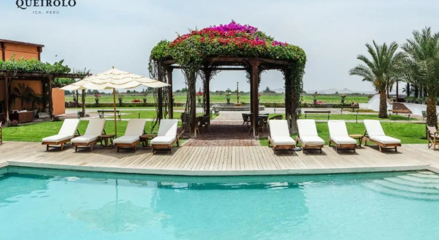 Номер Standard Hotel Viñas Queirolo