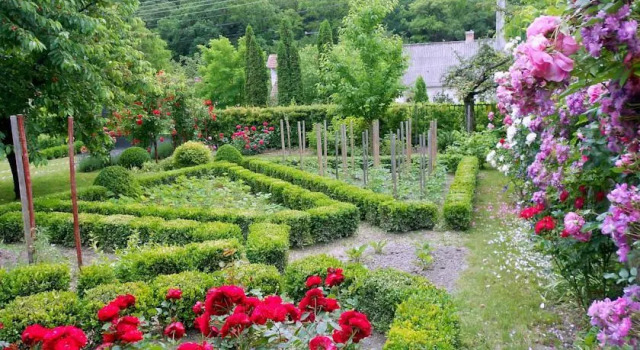 Villa Esther, Buchen Sie Villa Sopron 