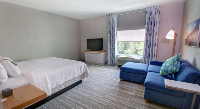 Двухместный номер Premium Hilton Garden Inn Tampa - Wesley Chapel