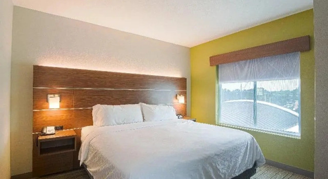 Люкс с 2 комнатами Holiday Inn Express Hotel & Suites Tampa-USF-Busch Gardens by IHG
