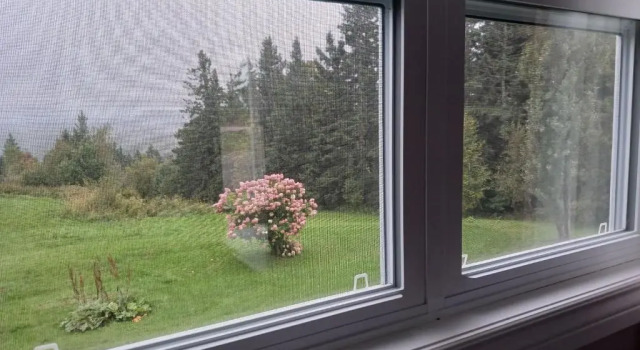Двухместный номер Standard Scenic Motel Moncton