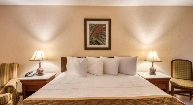 Номер Deluxe Palms Garden Inn