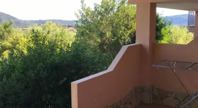 Номер Economy Hotel Belvedere