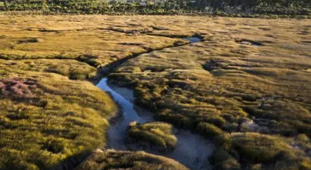 Bushy Point Fernbirds B&B, Забронировать Отель Отели Инверкаргилл с парковкой, Парковка