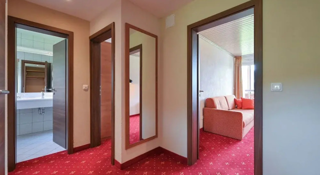 Номер Standard Rothenfels Panorama Hotel