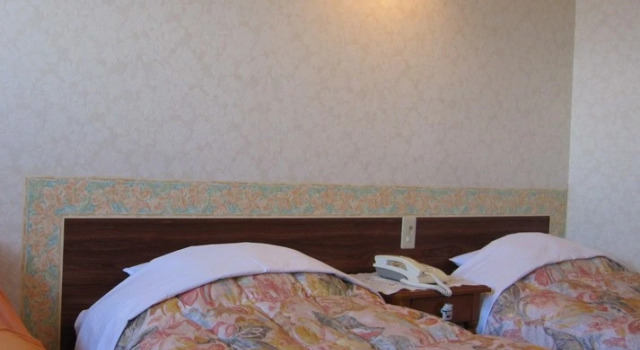 Двухместный номер Standard с видом на океан Izu Kogen Umi no Mieru Kogen no Auberge Parterre