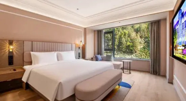 Люкс Deluxe Mercure Hotel