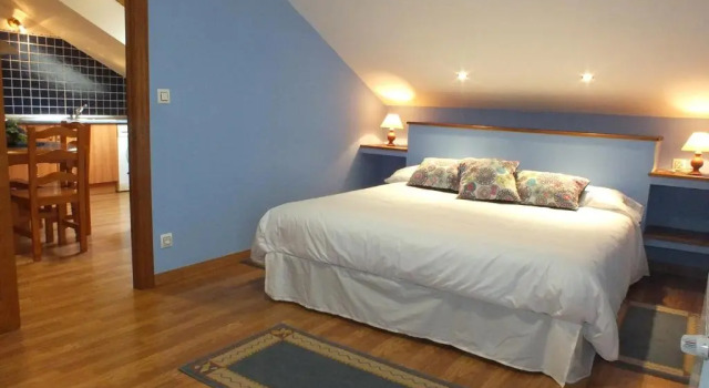 Апартаменты c 1 комнатой с балконом Apartamentos Altamira