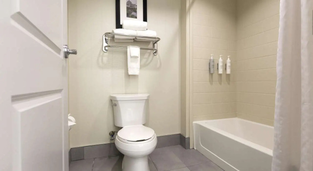 Четырёхместный люкс c 1 комнатой Homewood Suites - Doylestown