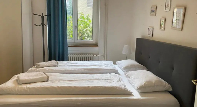 Двухместный номер Standard с видом на сад ZüriZimmer