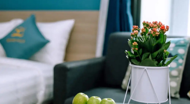Номер Deluxe с балконом и с видом на город Square Villa Hoi An