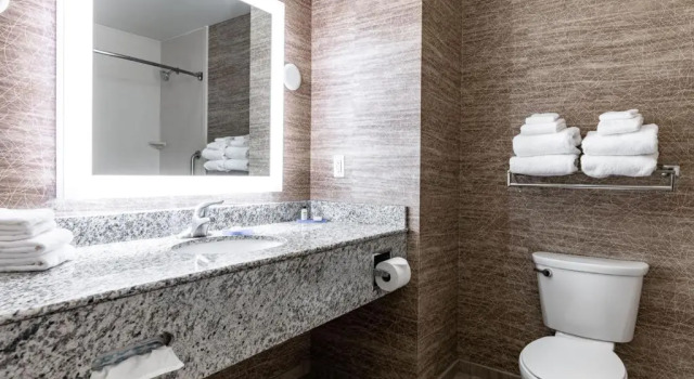 Номер Deluxe Holiday Inn Express & Suites New Martinsville by IHG