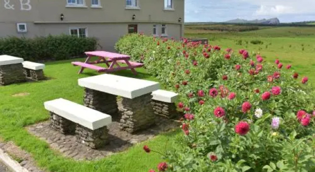 An Bthar Pub, Boek Hotel Dingle 