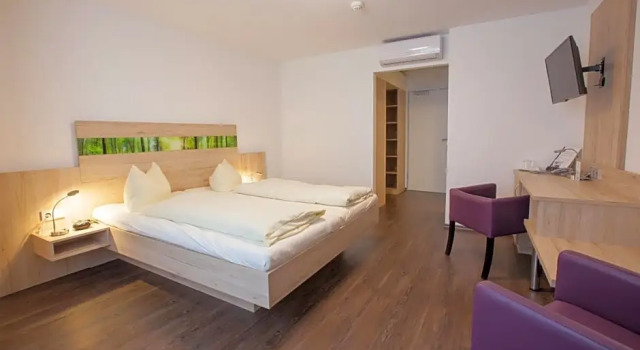 Номер Deluxe Hotel zur Pfalz
