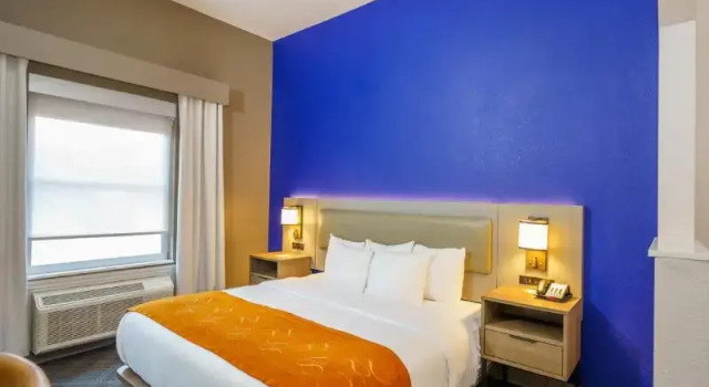 Люкс Standard Comfort Suites University Drive