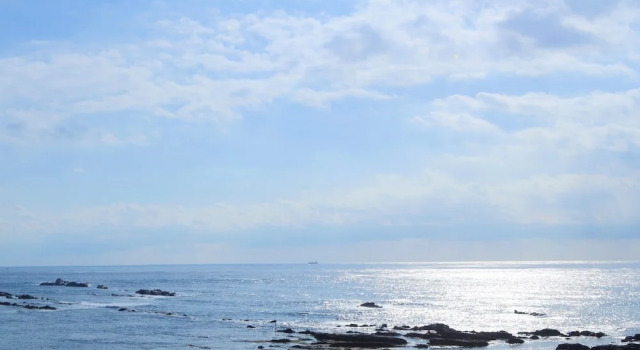Номер Standard Shirahama Ocean Resort