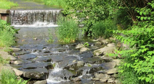Апартаменты FeWo Harz Haennig 2
