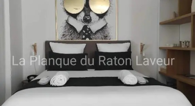 Номер Standard La planque du raton laveur