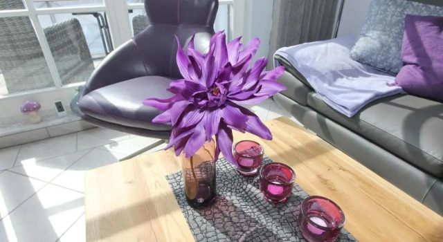 Haus Seerose Seerose II Appartement 17, Забронировать Апартаменты/квартира Шарбойц Holstein Switzerland