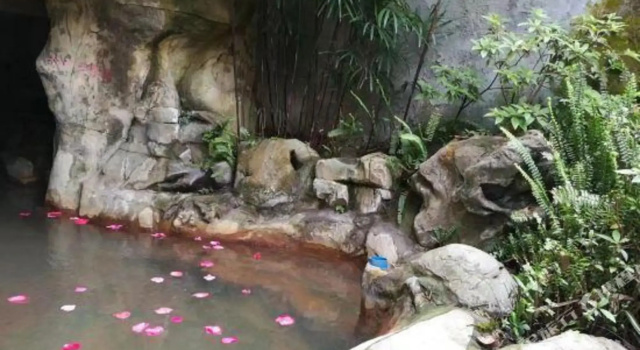 Chongqing White-collars East Hotspring Hotel, Забронировать Отель Отели города центрального подчинений Чунцин 4 звезды, 4*